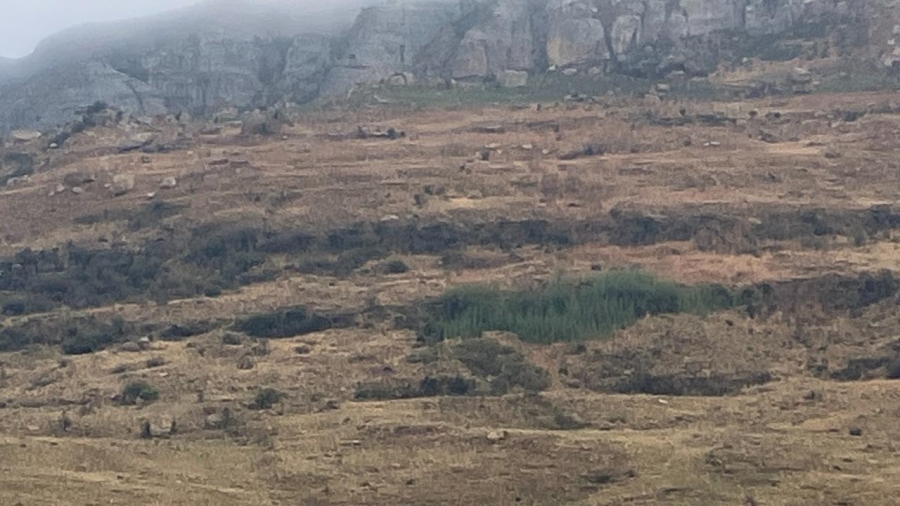 Commercial Property for Sale in Harrismith Rural Free State